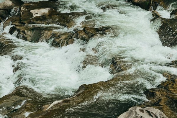 Discover northumberland's eternal stone carvings: your comprehensive guide to planning an unforgettable historical journey