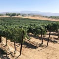 Discover the Best Wine Tours in Temecula with Girls' Weekend Packages