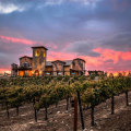 Exploring Temecula's Wine Country: $10 Off Per Person for Groups of 20 or More