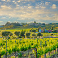 Exploring Temecula's Wine Country: A Sustainable Wine Tour Guide