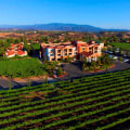 Exploring the South Coast Winery in Temecula: A Must-Visit for Wine Enthusiasts