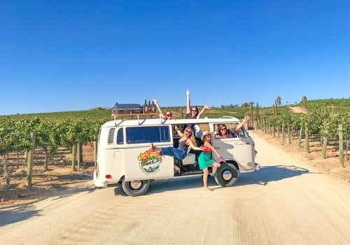 Discover the Best Winery Bus Tours in Temecula