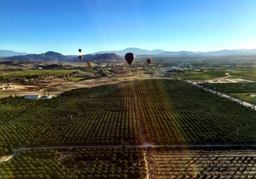 Exploring Temecula Wine Country: A Guide to Rancho California Road