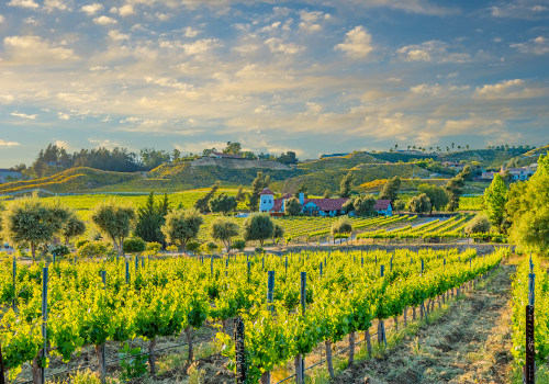 Exploring Temecula's Wine Country: A Sustainable Wine Tour Guide