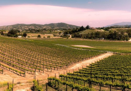 Discovering the Vineyard District in Temecula