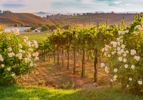 Exploring Thornton Winery in Temecula