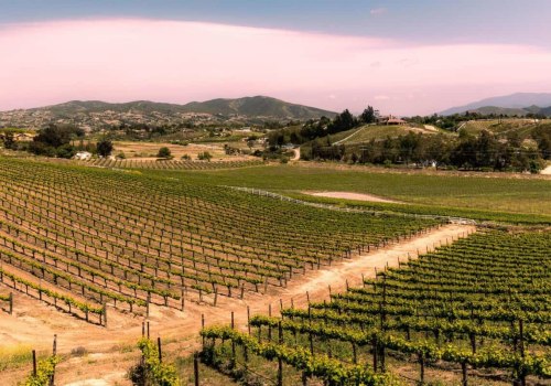 Exploring the Winery District of Temecula: A Guide to Wine Tours and More